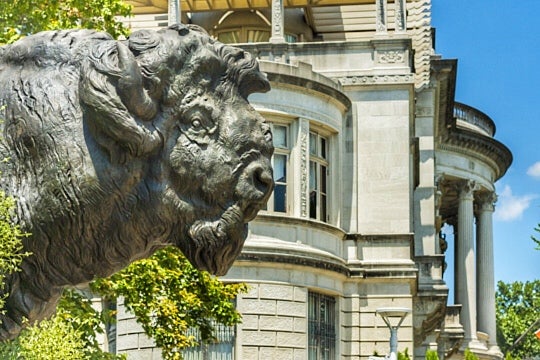 Buffalo statue on Dumbarton Bridge with view of condominiums in Kalorama, Washington, DC